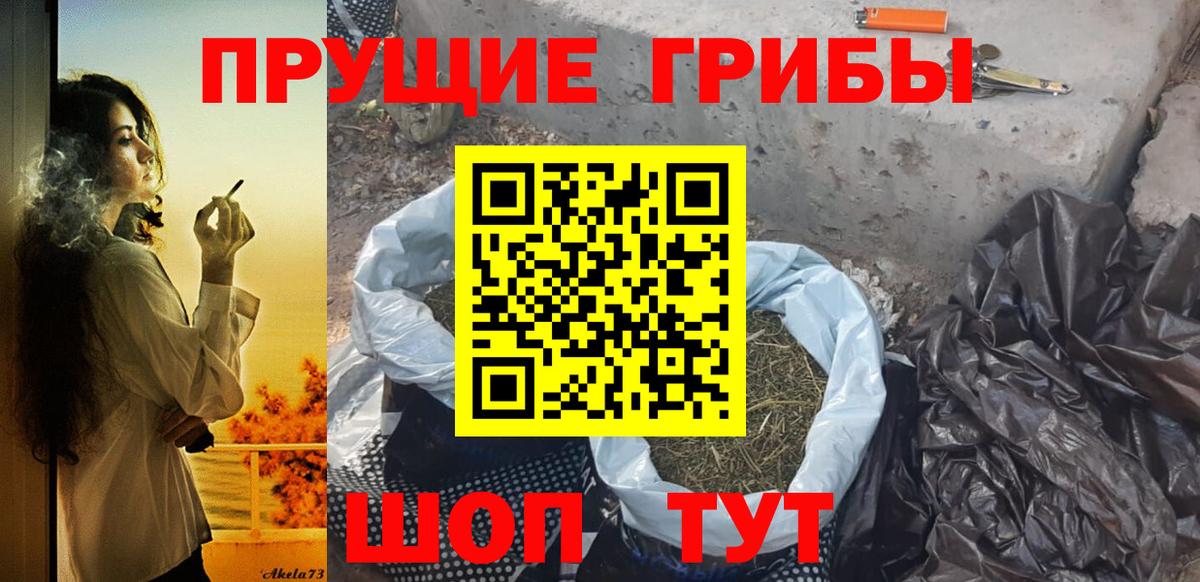 Псилоцибиновые грибы прущие грибы Киржач