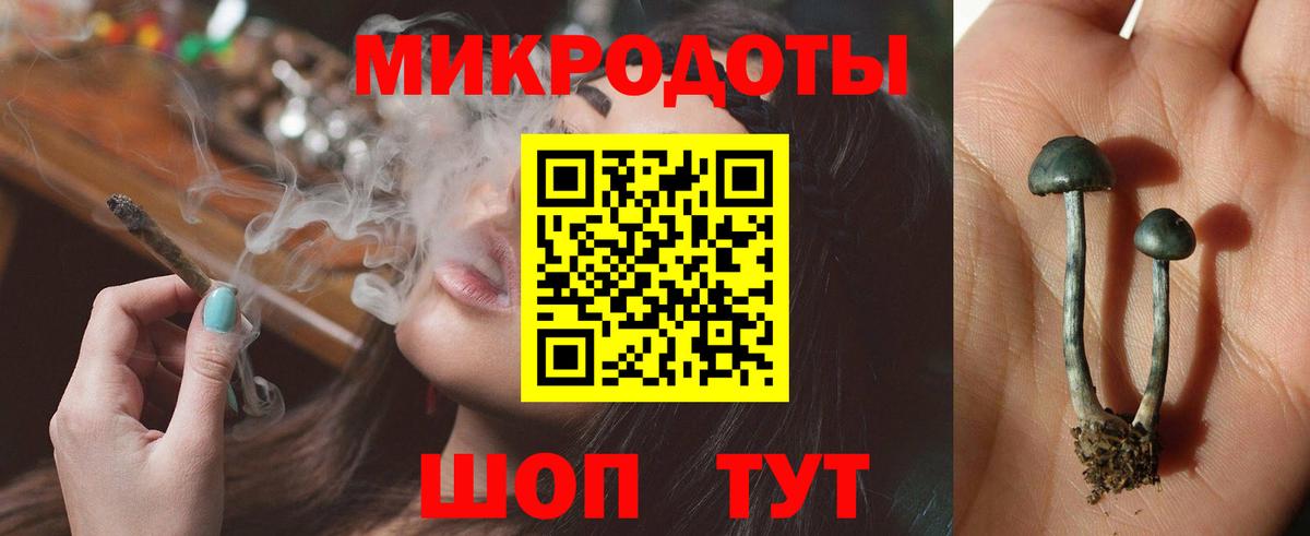 Киржач  Псилоцибиновые грибы мицелий  Вход с VPN 